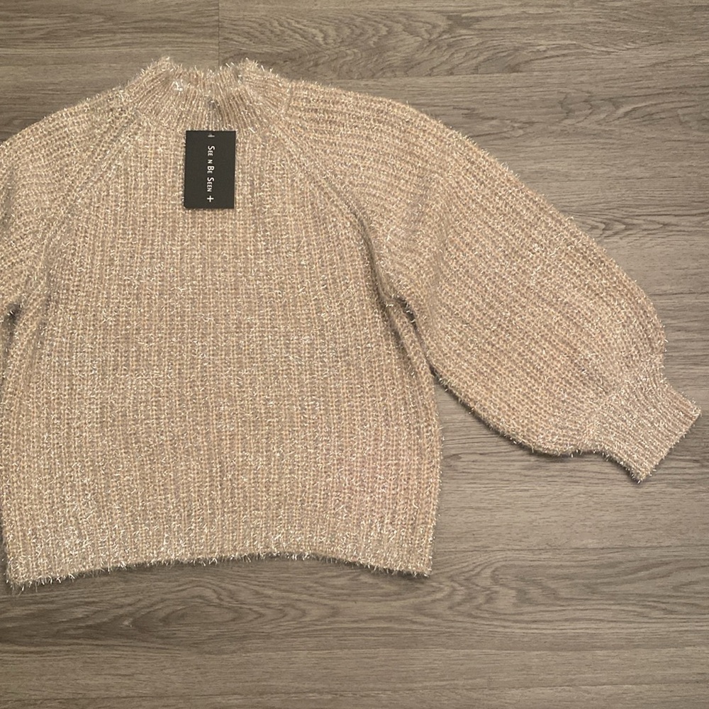 See N Be Seen + Metallic Balloon Sleeve Sweater Size 1X
